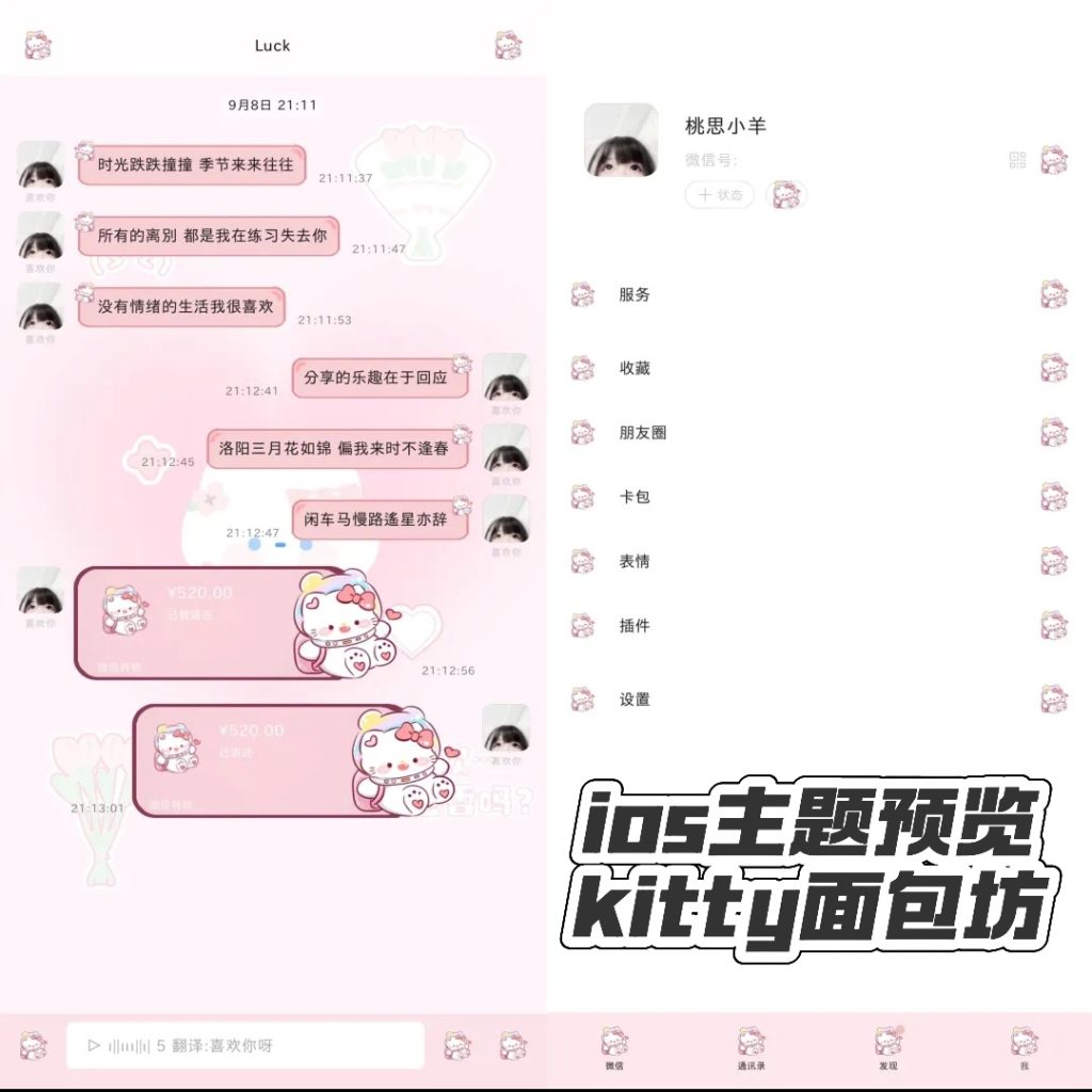 图片[20]-ios微信助手/净化主题-鬼才博客