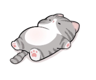 ios微信助手/净化主题-鬼才博客